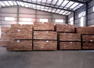 120xe20say202
