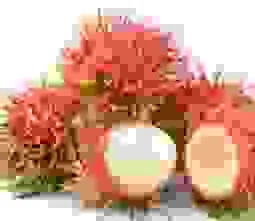 Chm20chm