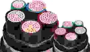 C¸p20®ion