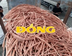 Dong