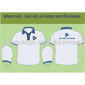 Ao20thun20su20koien