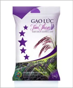 Bb20gao202