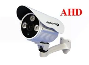 Cam20escort