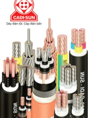 Capdiencadisun1 1
