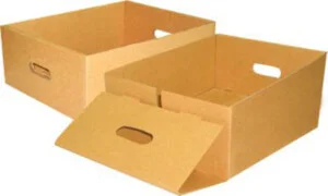Carton201 1
