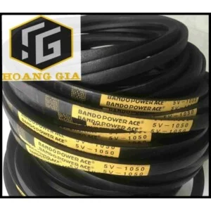 Creator: Gd Jpeg V1.0 (using Ijg Jpeg V80), Chất lượng = 85