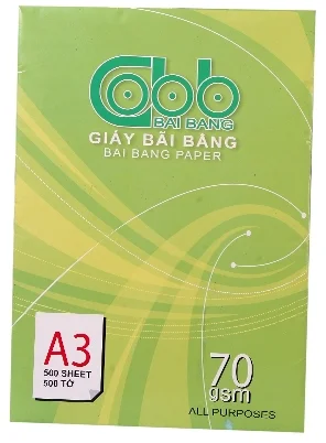 Giay20copy20a3209070