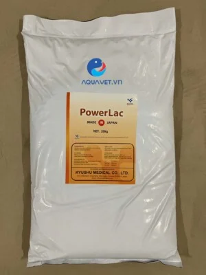 Men Vi Sinh Powerlac 5