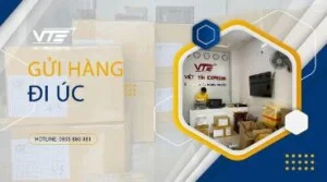 Thi20truong201