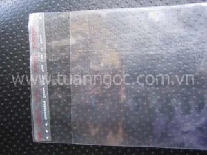Tui20cat20mieng20dan20bang20dinh20120lan