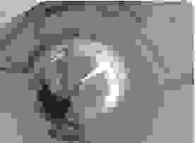 Vlcl204