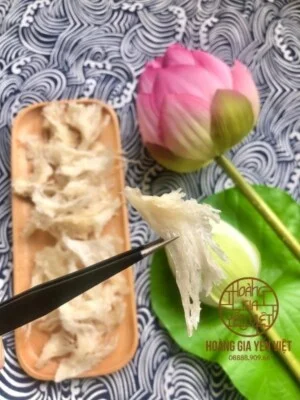 Chân Yến Tinh Chế Là Gì