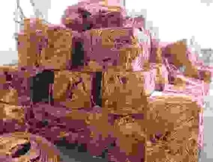 120dong