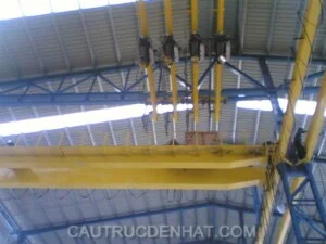 274620138479 B Cau Truc Dam Doi 2