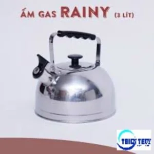 3l