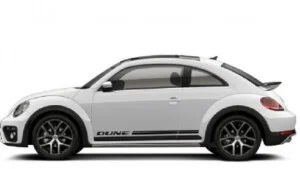 Beetle20dune