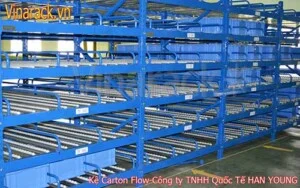 Carton Flow Racking