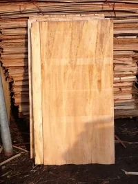 Core20veneer201