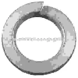 Lng20®in20vanh20m¹20kim20nhong
