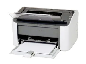 Mayincanon2900