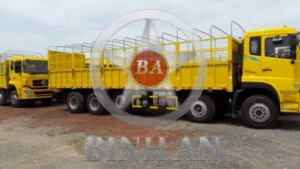 Xe20520chan20dong20feng20ho20bac 3