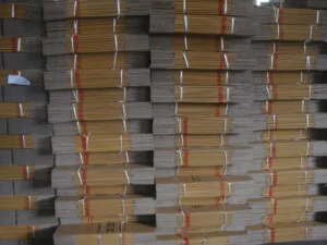 Bao20bi20carton2002