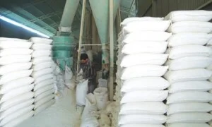 Bot20cao20lanh