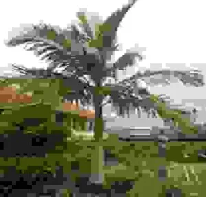 Cauhoanghau