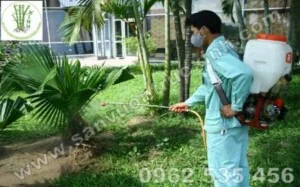 Cham Soc Duy Tri Canh Quan 6