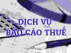 Dich Vu Bao Cao Thue Hang Thang
