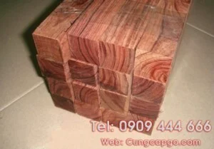 Creator: Gd Jpeg V1.0 (using Ijg Jpeg V62), Chất lượng = 90