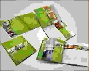 In20catalogue