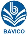 Logo20bavico 120×0