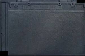 Ngoi202