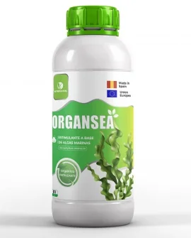 Organsea 83 270×335