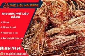 Thu20mua20phe20lieu20dong