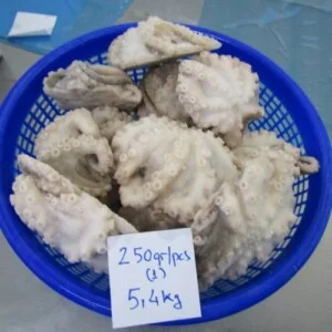 Frozen20big20octopus