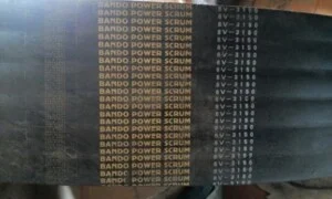 Bando202