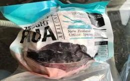 bao-ngu-new-zealand-lanh