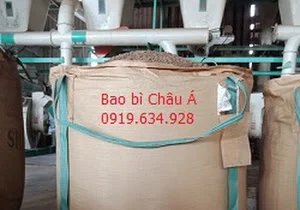 Bao20jumpo20®ung20vian20ndn