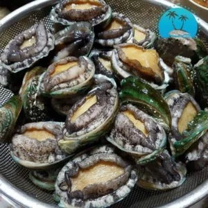 Bao20ngu20hq