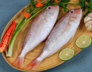 Ca Dong 1487614635
