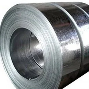 Can20nguoi
