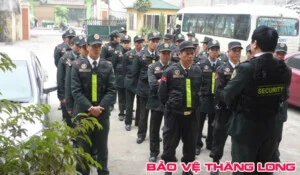 Doi20ngu20chinh202