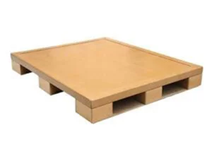 Pallet Giay 1