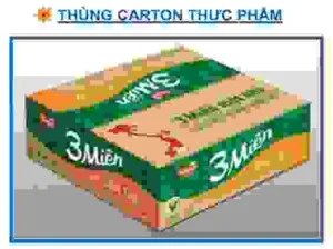 Thung20ca202