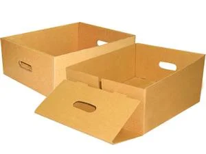 Thung20carton203