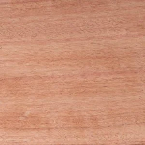 Vn20bubinga