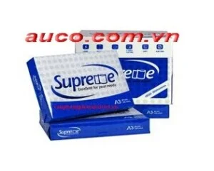 A4207020superme