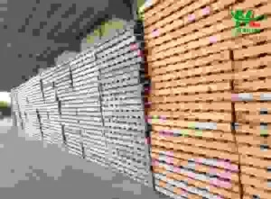 Dong20pallet20go